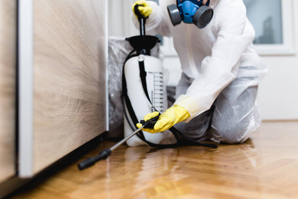 Best Rat Extermination Near Me  in Century, FL