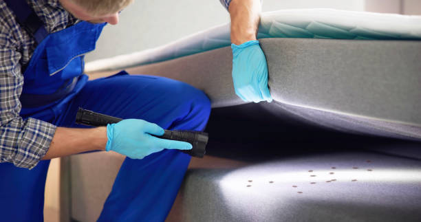 Best Best Pest Control Companies  in Century, FL