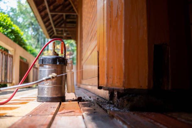 Best Wasp Removal Services  in Century, FL